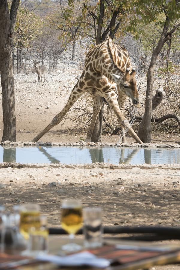 Ongava Tented Camp Okaukuejo Bagian luar foto