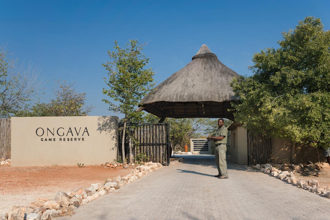 Ongava Tented Camp Okaukuejo Bagian luar foto